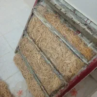 کولر آبی ۳۲۰۰