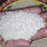 برنج میداوود ۱۵۰ کیلو ، کیلویی 400 تومان