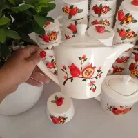 نیرو ویزیتور