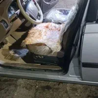 پژو 405|خودرو سواری و وانت|سراوان, |دیوار