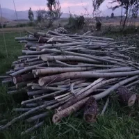خرید انواع چوب