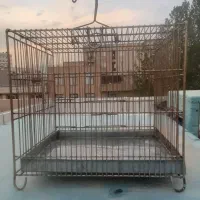 قفس سهره