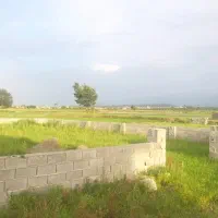 مشاور و حل‌کننده کلیه امور ملکی