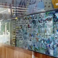 نیروی اقا  خدمات جهت موسسه معلولین نیازمندیم
