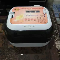 فروش ویژه دستگاه جوجه‌کشی ایزی باتور ۶ ، سالم