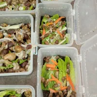 پرورش حلزون