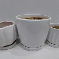 گلدون