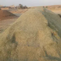 فروش 7تن یونجه کوبیده شده 80درصدش یونجه خالص