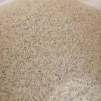 برنج هاشمی اصل گیلان آستانه