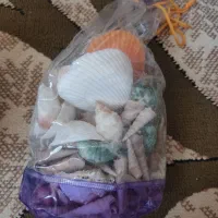 صدف دریا ۱ بسته