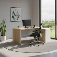 خانم برای نظافت