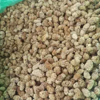 توت قیمت مناسب