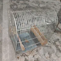 ۳عددقفس