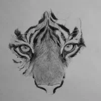 نقاشی،سیاه قلم،طراحی