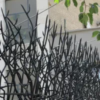حفاظ شاخ گوزنی کلی و جزئی