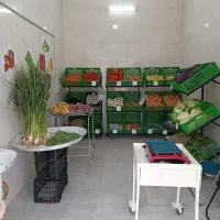 استند میوه فروشی