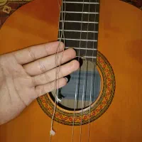 گیتار c40|گیتار، بیس، امپلیفایر|کهریزک, |دیوار