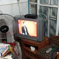 تلوزیون و دیجیتال