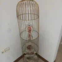 استند دکوری قفس