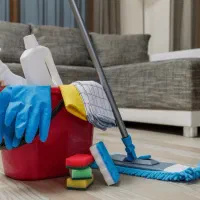 نیروی خدماتی برای منزل