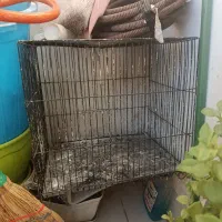 قفس پرنده
