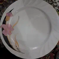 ظرف
