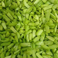باقالی تازه