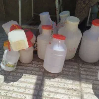 بانکه همه سالم
