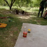 پمپ هواآکواریم