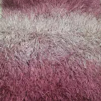 قالیچه و پادری