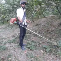 علف زنی باغ وباغچه