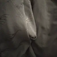 چادر