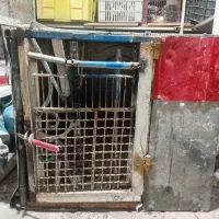 قفس کبوتر