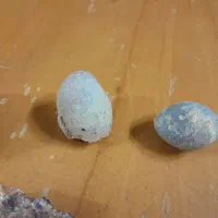 سنگ قیمتی|جواهرات|اصفهان, علی قلی آقا|دیوار
