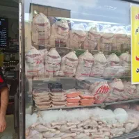 مرغ کار