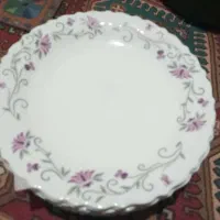 پلوخوری پارس اوپال