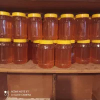 فروش عسل طبیعی و گرده گل