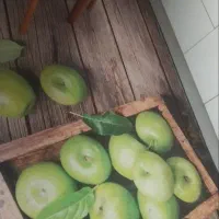 قالیچه آشپزخانه