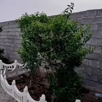 باغ-و-باغچه180متری-کنتوربرق-قانونی-آب