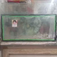 اکواریوم