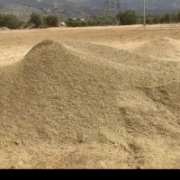 کاه کسن
