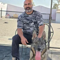 مربی سگ های کار و آپارتمانی درمشهد