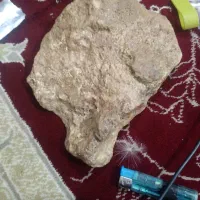 سنک های قیمتی