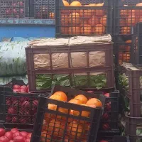 کارگر آقا جوان مجرد میوه فروشی بولوار توس