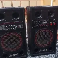 اسپیکر دو قلو برقی