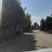 207زمین چهار دیواری