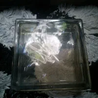 بلوک شیشه ای 20*20 سالم و در حدنو
