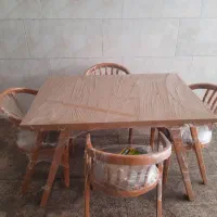 میز غذا خودری