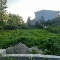 زمین ۲۰۰متری براصلی سوستان یاس