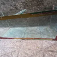 آکواریوم سالم